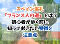 スペイン巡礼、フランス人の道、特徴、注意点