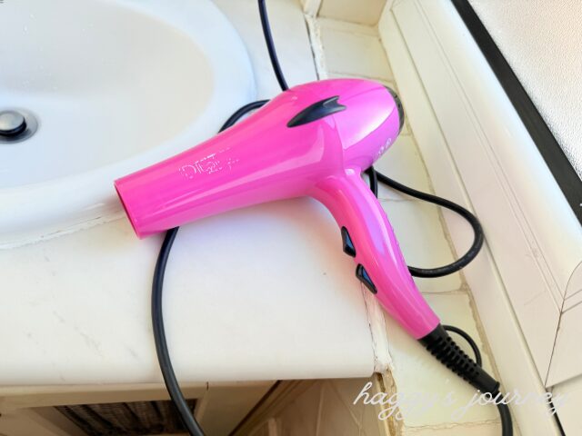 レオン、ホステル、ドライヤー