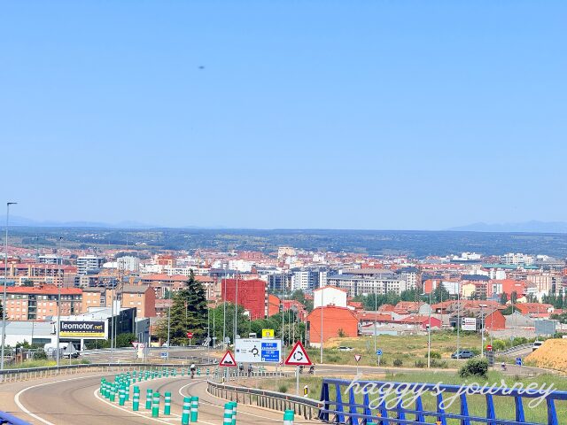 だんだん近づくレオン