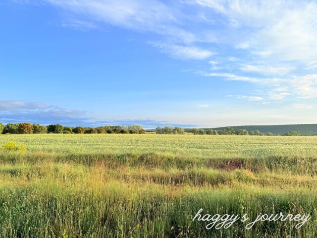 アストルガ、街はずれ、草原