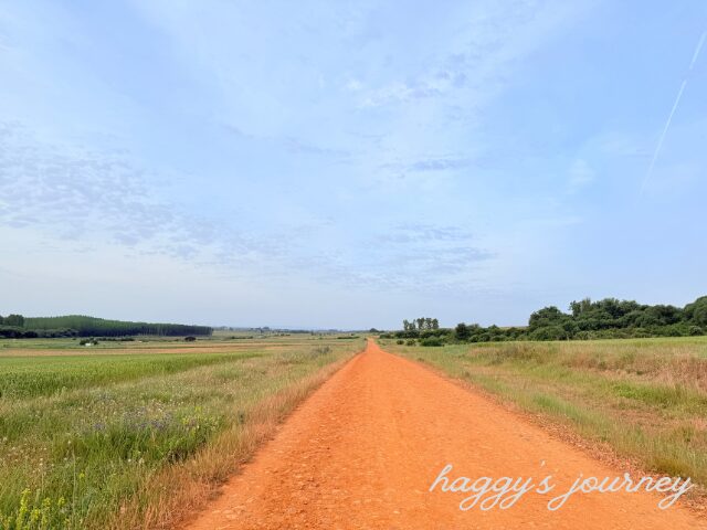 カミーノらしい道