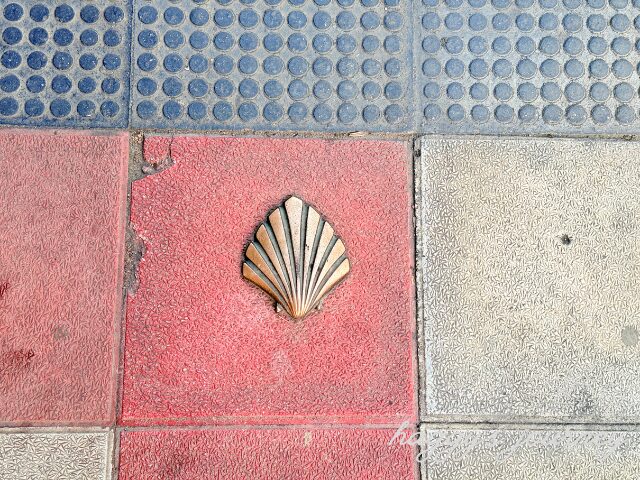 巡礼路のホタテ貝