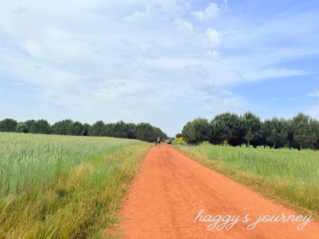 サン・フスト・デ・ラ・ベガ