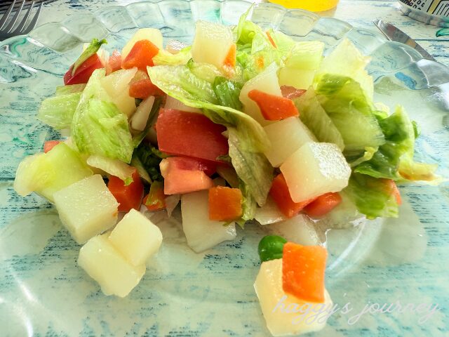 スペイン巡礼、友達の手料理、サラダ