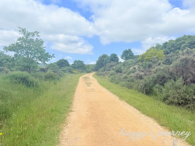ラバナル・デル・カミーノ、上り坂