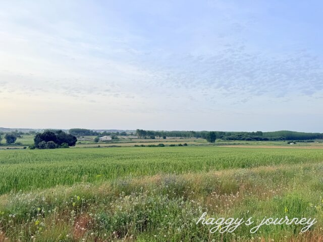 ビリャレス・デ・オルビゴ、草原