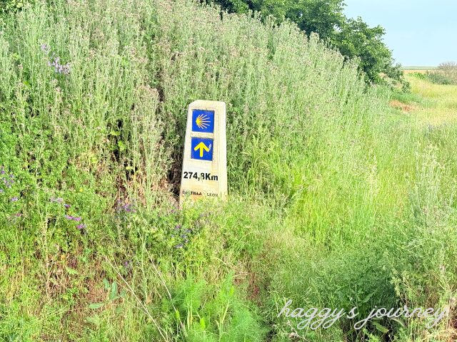 サンティアゴ・デ・コンポステーラまであと274.8km