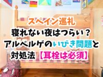 スペイン巡礼、いびき