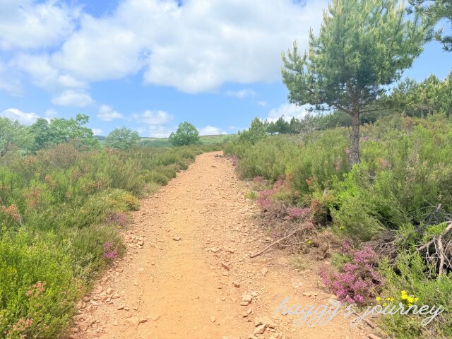 フォンセバドン手前、上り坂