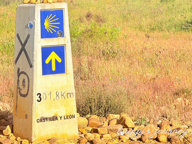 ゴールまであと301km