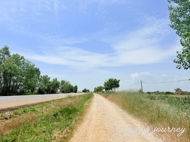 オスピタル・デ・オルビゴまでの道