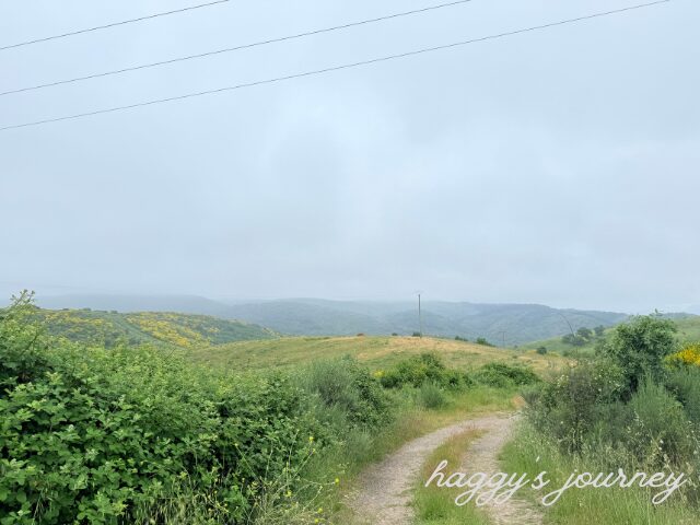 スペイン巡礼、モリーナセカへ、下り坂