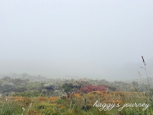 スペイン巡礼、濃い霧