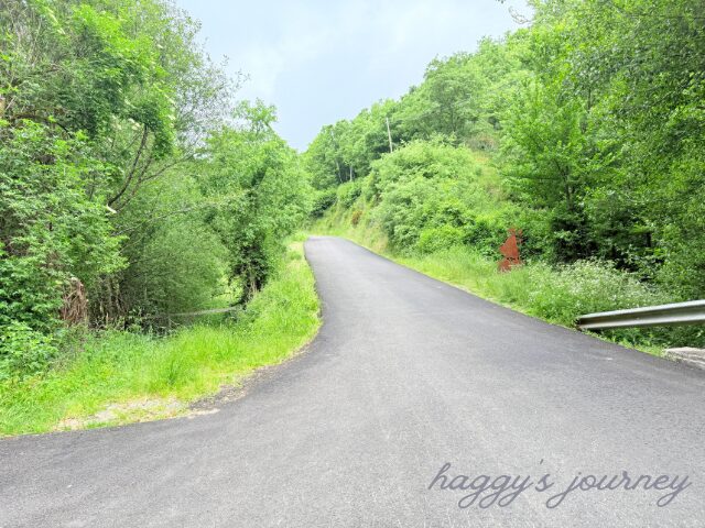 オセブレイロ峠、はじまり