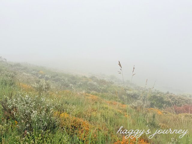 スペイン巡礼、鉄の十字架の後、濃い霧