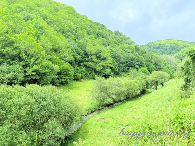 オセブレイロ峠、序盤で見える景色