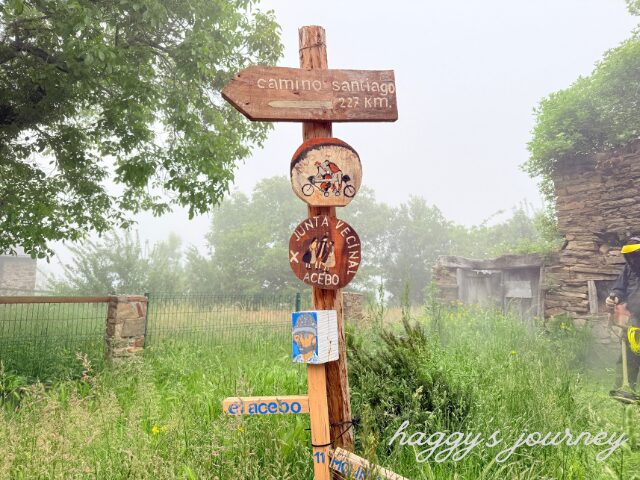 スペイン巡礼、あと227km