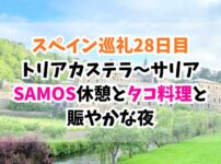 スペイン巡礼、サリア