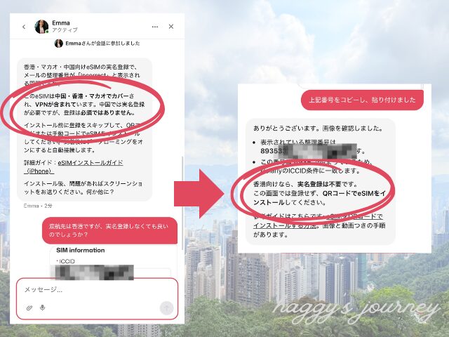 Holafly、問合せ画面