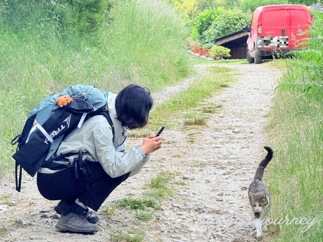 猫の写真を撮るチーヨン