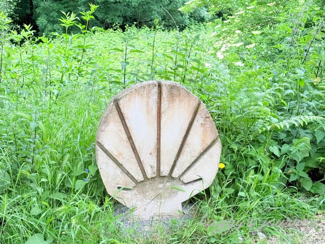 サモス、ホタテ貝
