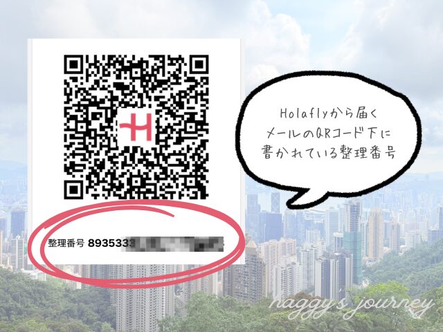 Holafly、実名登録、整理番号
