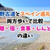 熊野古道、スペイン巡礼